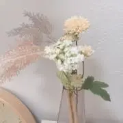 くろの画像