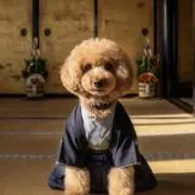 ひで