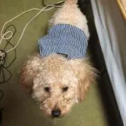 しゅう⭐️P必読