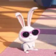 ‪✮の画像