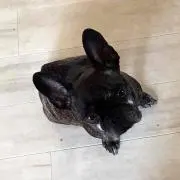 リンダ