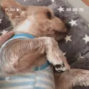 myの画像