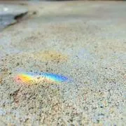 むんの画像