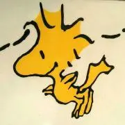 nao