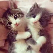 むーみん☆