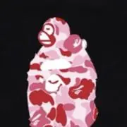 ‎ ‎( ᴖ ̫ᴖ )