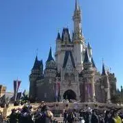 プーさんの画像