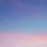 牡丹の画像