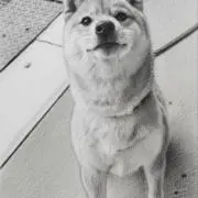 トオルの画像