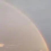 janの画像