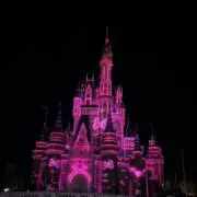 Pink ROSEの画像