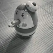 shin