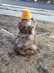 ちゃむの画像