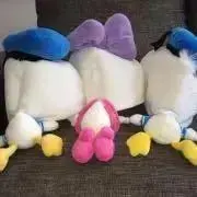 うさび　断捨離中の画像