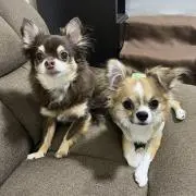 みぃ〜この画像