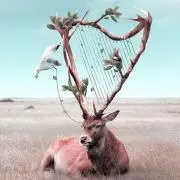 シマダの画像
