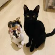♡tocotoco♡の画像