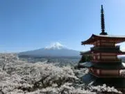 古着ジャスダフの画像