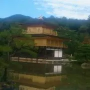 もずくね