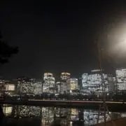 金魚の画像