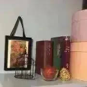 のっちの画像
