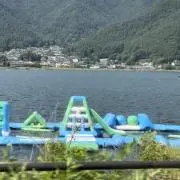 はなの画像