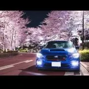ロッソo(o|o)/