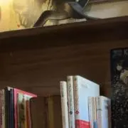 とびの画像