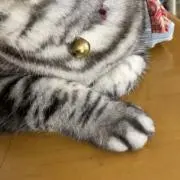 ★ゴマちゃん★【プロフ必読願います】の画像
