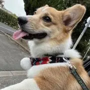 まーさん