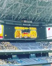 terutigers1024