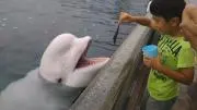さっちこ