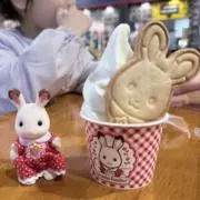 ちいの画像