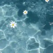 026の画像