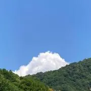ポコニャン