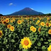 hiroの画像
