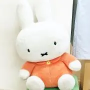 potte nの画像