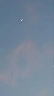 さくさくの画像