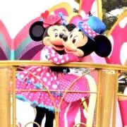 Choiの画像