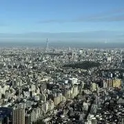 ゆるりまろの画像