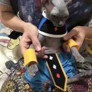 しょうじ