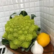 catzxcvの画像