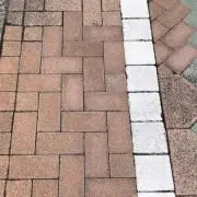 なぶなぶの画像