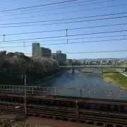 sekiの画像