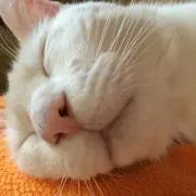 みの
