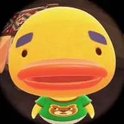 kokonattuの画像
