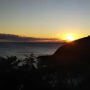 はせの画像