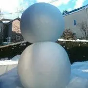 ユキダルマの画像