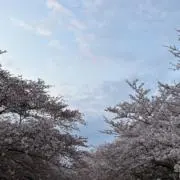 nonnonの画像
