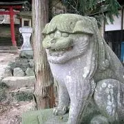 Komainuの画像